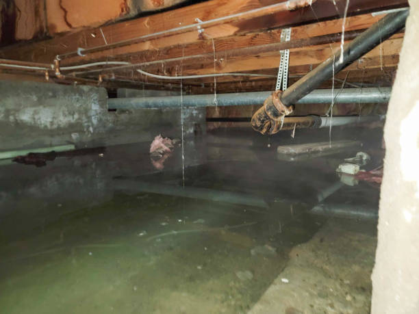 Best Water damage restoration insurance claims  in Montello, WI