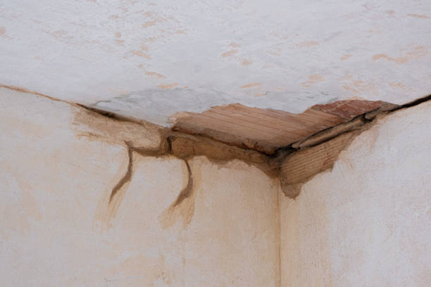 Best Water damage restoration near me  in Montello, WI