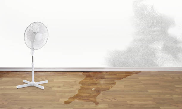 Best Ceiling water damage repair  in Montello, WI