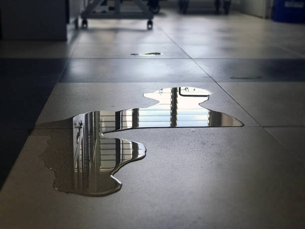 Best Water damage restoration near me  in Montello, WI