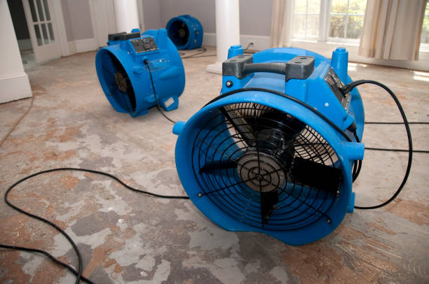 Best Flood restoration services  in Montello, WI