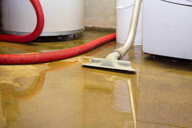 Best Ceiling water damage repair  in Montello, WI