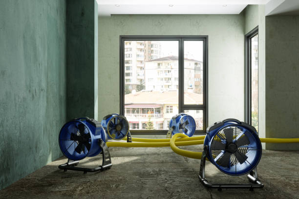Best Local water damage restoration  in Montello, WI